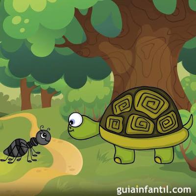 UGA LA TORTUGA ( CUENTO PARA NIÑOS DE 5 AÑOS)