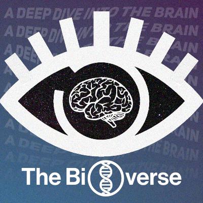 How Menopause Affects the Brain