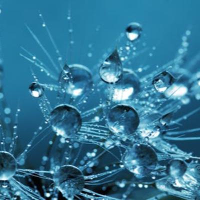 Scientific Benefits and Proven Effectiveness of CBD
