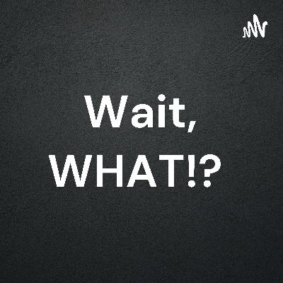 Wait,WHAT!? Episode:104