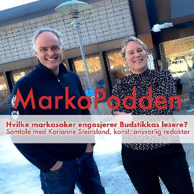 Hvilke markasaker engasjerer Budstikkas lesere?