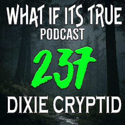 Archive 237 UFOs & Bigfoot Archive 237 UFOs & Bigfoot