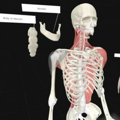 Virtual reality becomes a reality in medical research