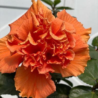 Story of moving on Story of moving on