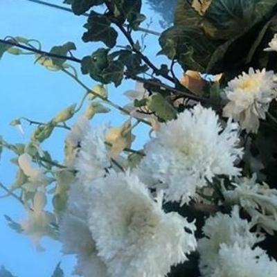 Chupke Chupke Pass aa jao