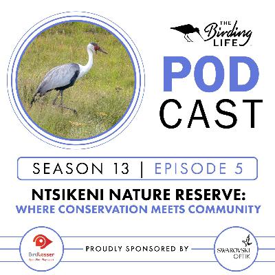 TBL Podcast - Season 13 Episode 5 - Ntsikeni Nature Reserve: Where Conservation Meets Community TBL Podcast - Season 13 Episode 5 - Ntsikeni Nature Reserve: Where Conservation Meets Community