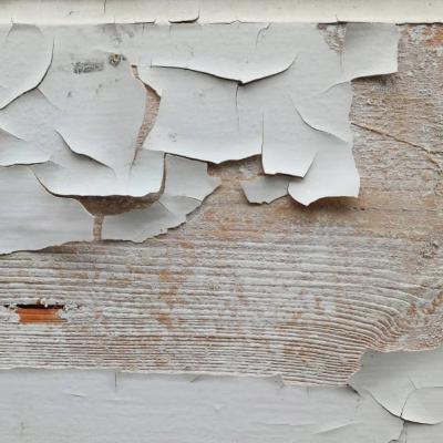 A Shallow Veneer of Equality