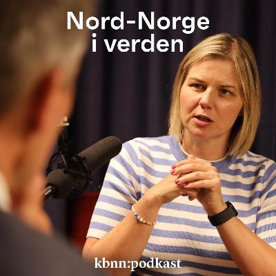 Hva vil Venstre med Nord-Norge?