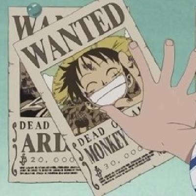 1x45 - ¡Recompensa! Luffy “Sombrero de Paja” se hace famoso en el mundo