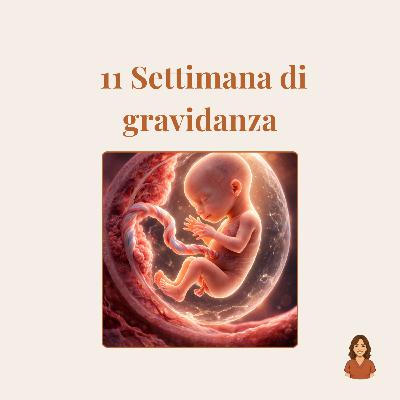 11ª settimana di gravidanza: sviluppo del feto, sintomi della mamma ed esami 11ª settimana di gravidanza: sviluppo del feto, sintomi della mamma ed esami