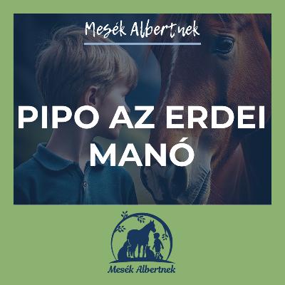 Pipo az erdei manó Pipo az erdei manó