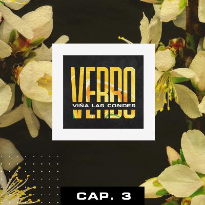 VERBO - Capítulo 3