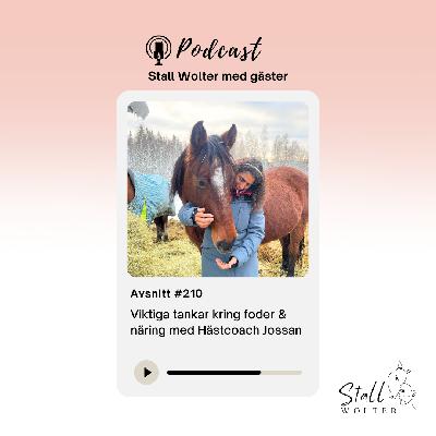 #210 – Viktiga tankar kring foder & näring med hästcoach Jossan