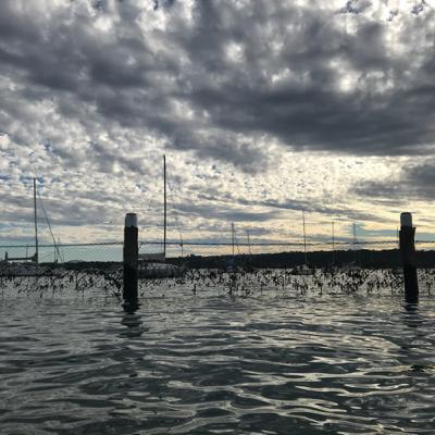 Music-In-Depth: Cultural Music - Ang Huling El Bimbo