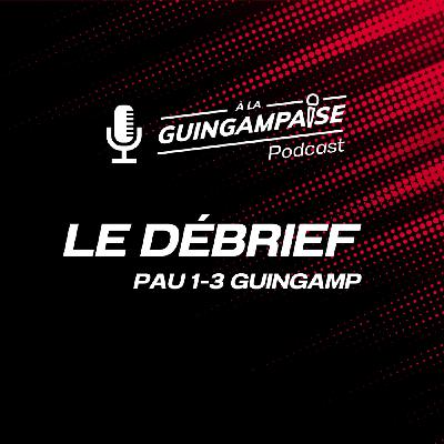 Débrief : Pau-Guingamp (L2-J34)