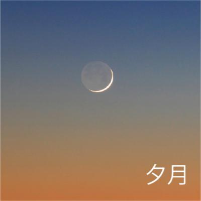【夕月さん】をいただきます。
