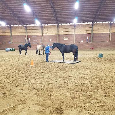 Ep 3-Do Your Intentions Matter to Your Horse?