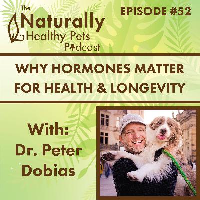 EP 52: Hormone Replacement Therapy in Neutered and Spayed Dogs with Dr. Peter Dobias