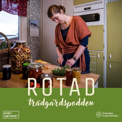 Maxa matförsörjningen och ta vara på din skörd