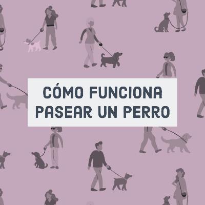 Cómo funciona pasear un perro