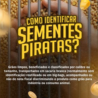 MOMENTO APASEM #102: É semente pirata ou não é?