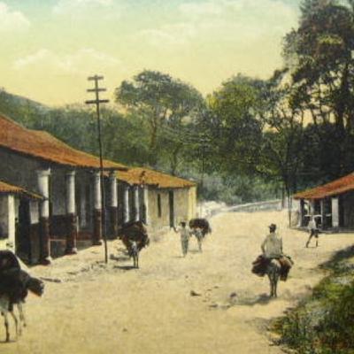 Rubio and Caracas. Mary Anastasia O'Grady