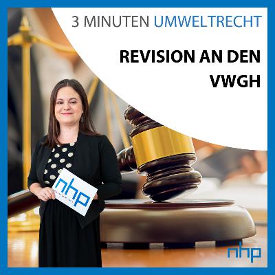 Revision an den VwGH