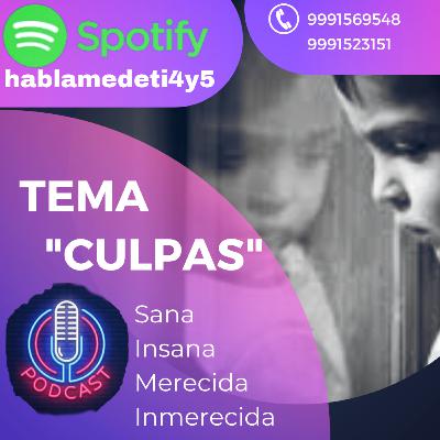 Hablemos de las culpas Hablemos de las culpas