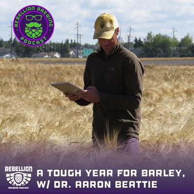 A tough year for barley, w/ Dr. Aaron Beattie