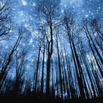 The Life Cycle Of A Star