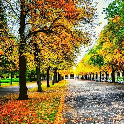 Las decisiones Las decisiones