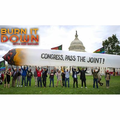 The Real Winner Of Election 2020  Drugs.