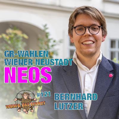 Gemeinderatswahlen Wiener Neustadt – NEOS – mit Bernhard Lutzer – WDB #121