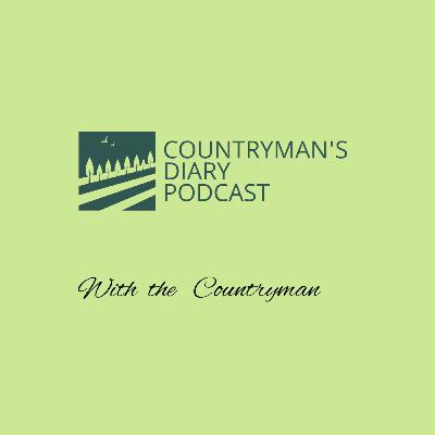 Countryman's Diary Podcasts.