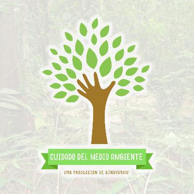 Cómo afectan los agrotóxicos