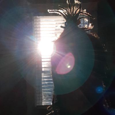 Wei The Spirit of Sarahalalt #mindset Wei The Spirit of Sarahalalt #mindset