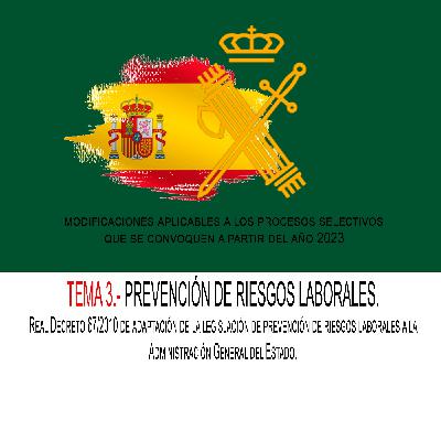 TEMA 3.- PRL.- Real Decreto 67/2010 de adaptación de la legislación de prevención de riesgos laborales a la AGE
