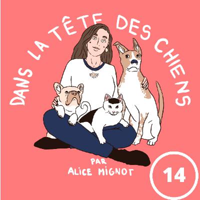 Episode 14 – Les chiens aiment-ils les caresses ? Episode 14 – Les chiens aiment-ils les caresses ?