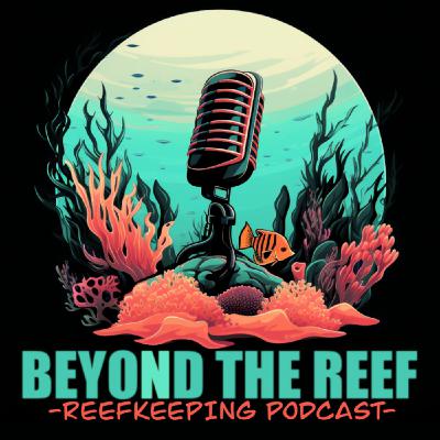 Leonardo's Reef