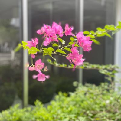 Chậm lại một chút … để đi nhanh hơn