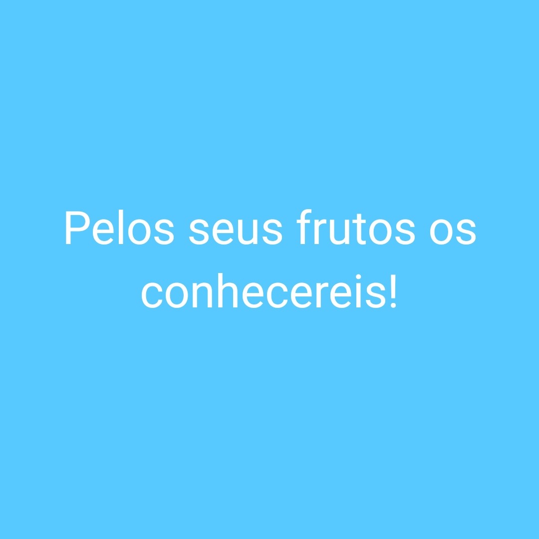 Pelos seus frutos os conhecereis episode artwork