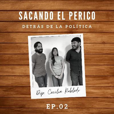 Detrás De La Política