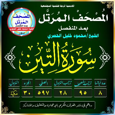 (095) سُورَةُ التِّينِ