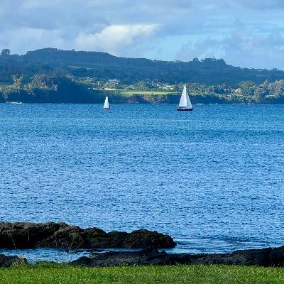 32 -《臣服实验》| 生命自有安排，凡事发生皆有利于我