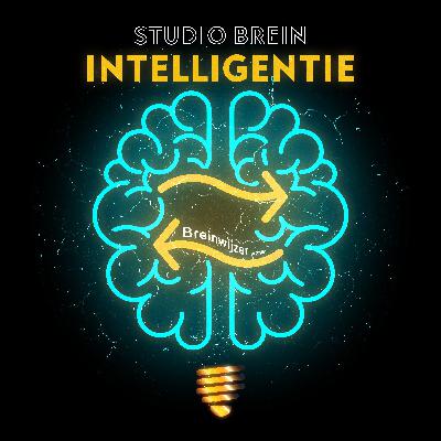 Meten is weten. Wat IQ-tests ons leren