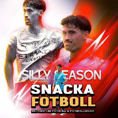 57. Sommarens hetaste värvningar ( Plats 25-11 )