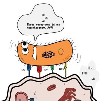 Reconhecimento dos invasores