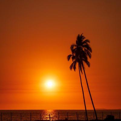 Mellow Vibes Podcast E5