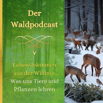 Lebenslektionen aus der Wildnis im Winter: Was uns Tiere und Pflanzen lehren Lebenslektionen aus der Wildnis im Winter: Was uns Tiere und Pflanzen lehren