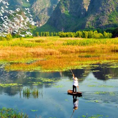 THE INCREDIBLE ECOSYSTEM OF CUC PHUONG NATIONAL PARK THE INCREDIBLE ECOSYSTEM OF CUC PHUONG NATIONAL PARK
